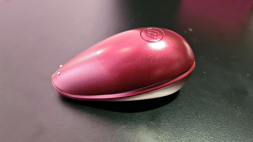 Womanizer Liberty Review with Price Comparison 